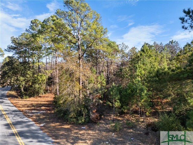 0 Pipkin Rd, Hinesville, GA 31313
