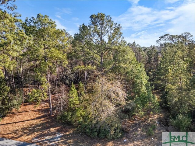 0 Pipkin Rd, Hinesville, GA 31313