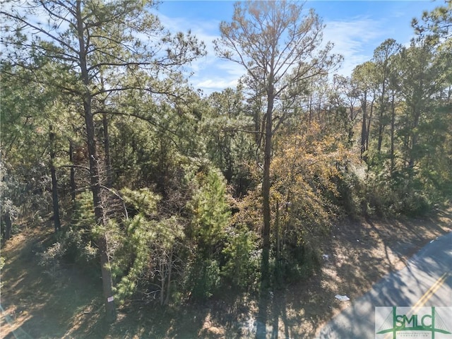 0 Pipkin Rd, Hinesville, GA 31313