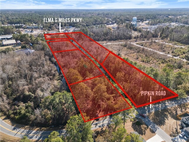 0 Pipkin Rd, Hinesville, GA 31313
