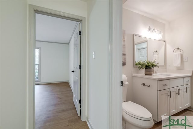 bathroom with vanity, hardwood / wood-style floors, and toilet