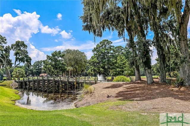 view of home's community with a water view