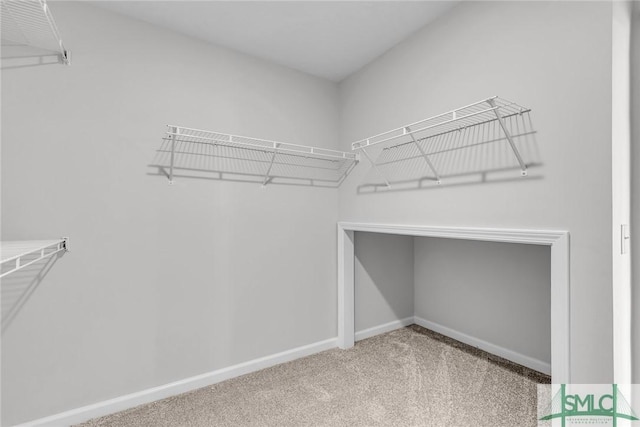 walk in closet with carpet floors