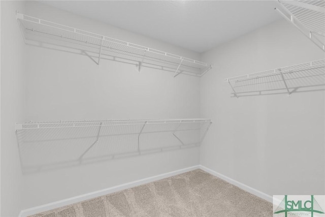 spacious closet featuring carpet floors