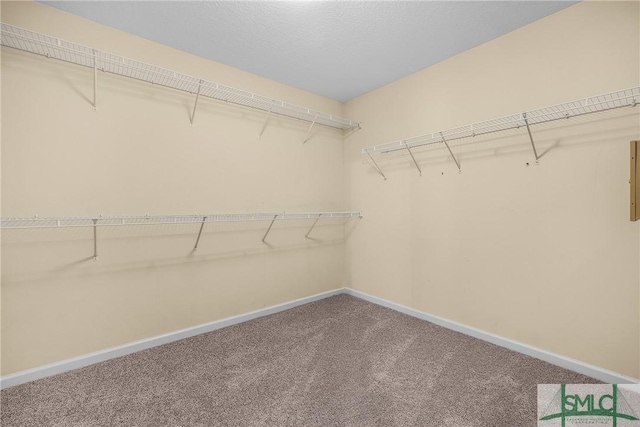 walk in closet with carpet flooring