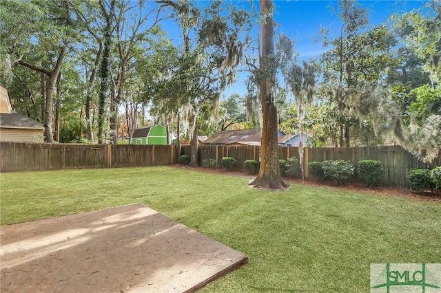 view of yard featuring a patio area