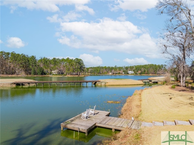 dock area featuring a water view