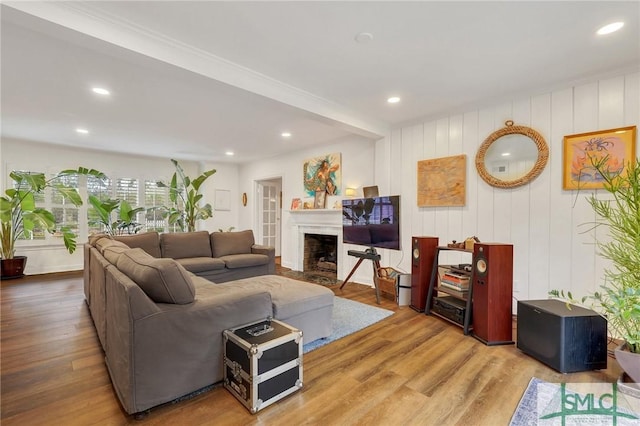 living room featuring light hardwood / wood-style floors