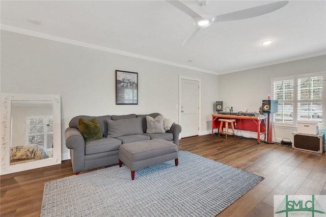 living room featuring crown molding and dark wood-type flooring