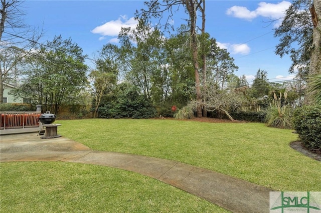 view of yard featuring a patio