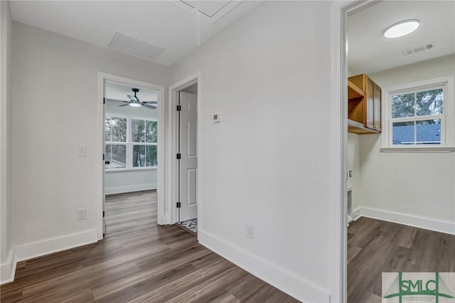 hallway with plenty of natural light and dark wood-type flooring