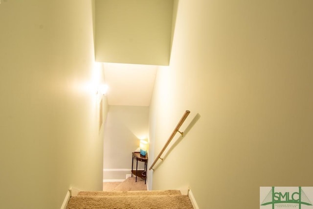 staircase with carpet floors