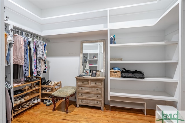 walk in closet featuring hardwood / wood-style flooring