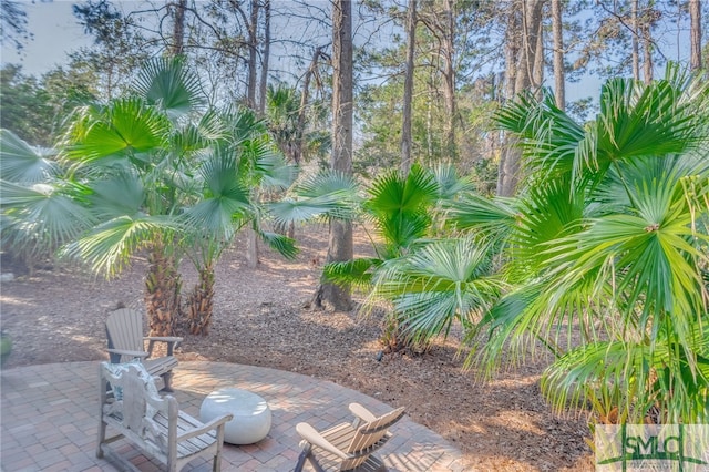 view of yard featuring a fire pit and a patio area