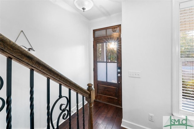 entryway featuring dark hardwood / wood-style flooring