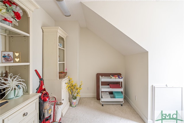 bonus room with light colored carpet