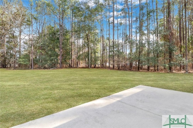 view of yard with a patio