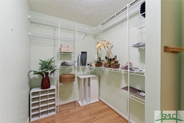 spacious closet featuring wood-type flooring