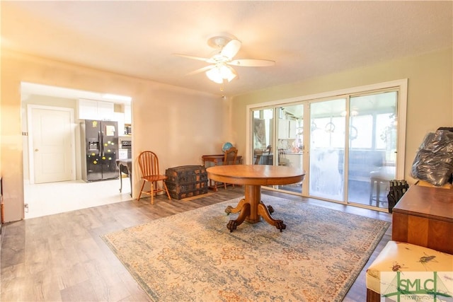 dining area with ceiling fan and light hardwood / wood-style flooring