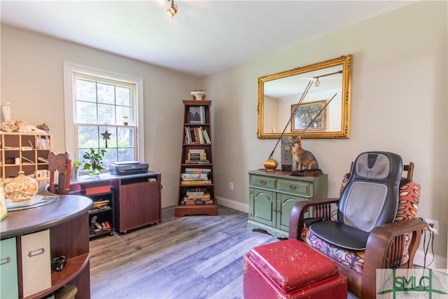 living area featuring light hardwood / wood-style floors