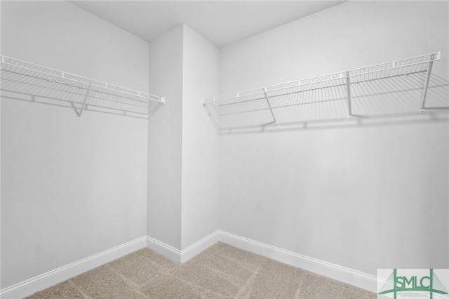 spacious closet featuring carpet flooring