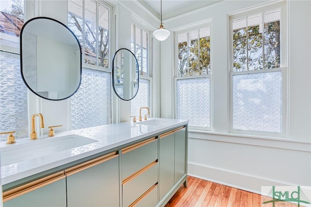 bathroom with vanity and wood-type flooring