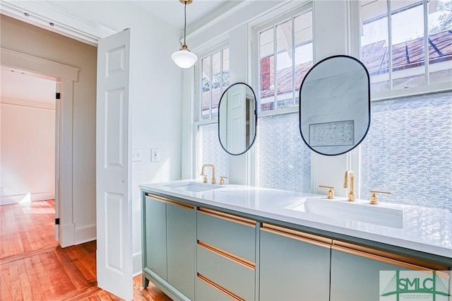 bathroom with hardwood / wood-style flooring and vanity