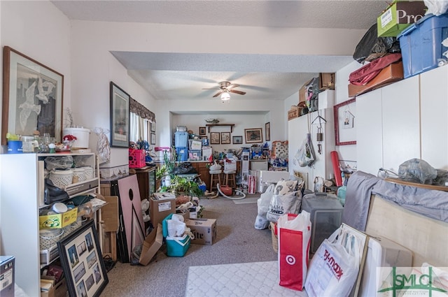 storage with ceiling fan