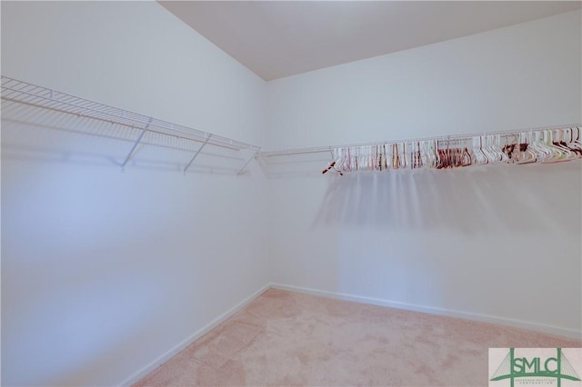 spacious closet featuring light colored carpet