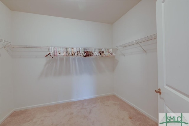 walk in closet with light colored carpet