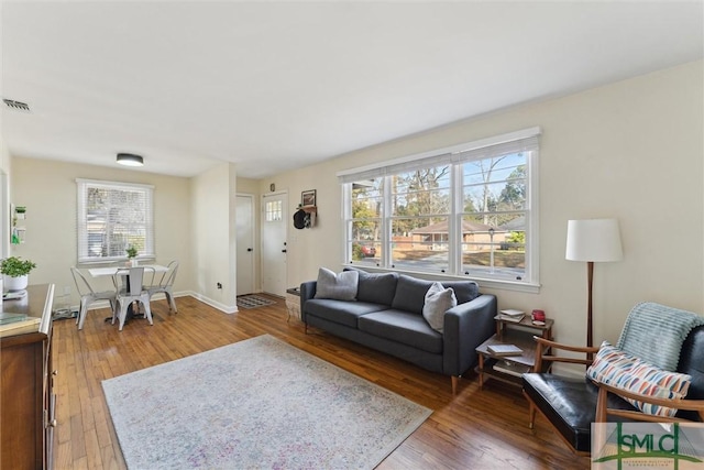 living room featuring hardwood / wood-style floors