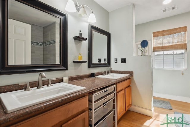 bathroom with hardwood / wood-style flooring and vanity