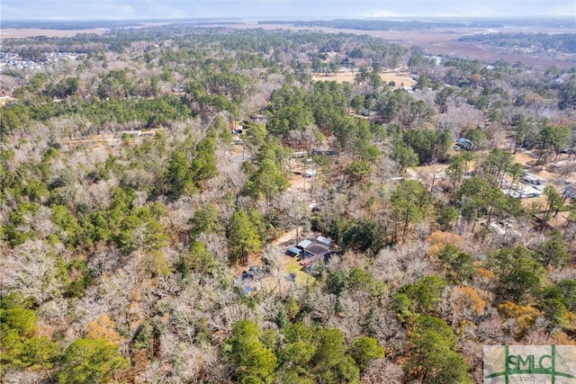 drone / aerial view