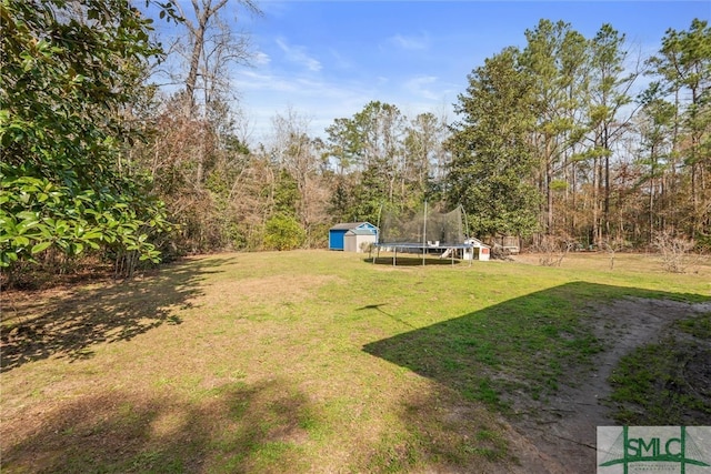 view of yard featuring a trampoline and a storage shed