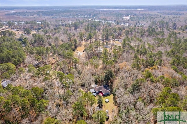 bird's eye view