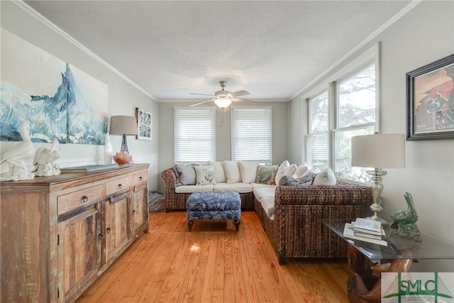 115 2nd Ave, Tybee Island, GA 31328 - living room featuring ornamental molding, plenty of natural light, light wood-style flooring, a ceiling fan, and a textured ceiling