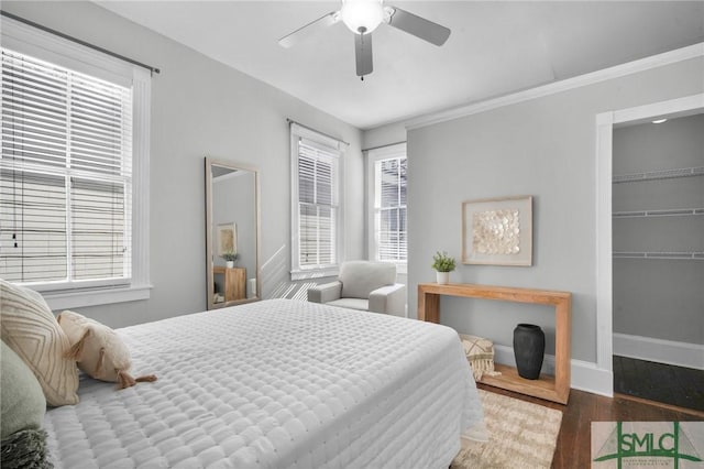 bedroom with ceiling fan, hardwood / wood-style floors, multiple windows, and a walk in closet