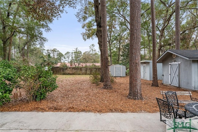 view of yard with a patio area and a storage shed