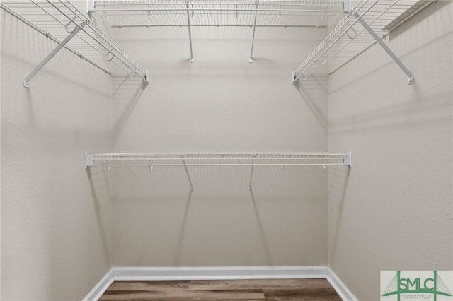 spacious closet featuring hardwood / wood-style floors