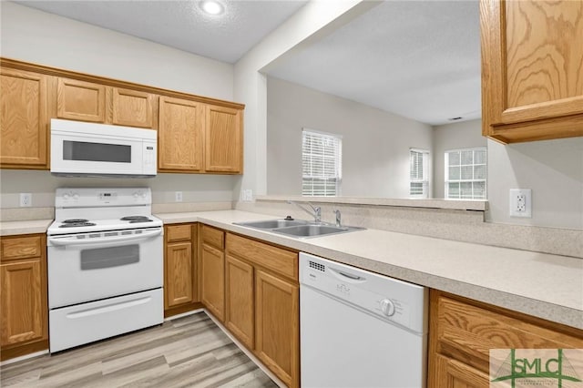 kitchen featuring sink, white appliances, and light hardwood / wood-style flooring