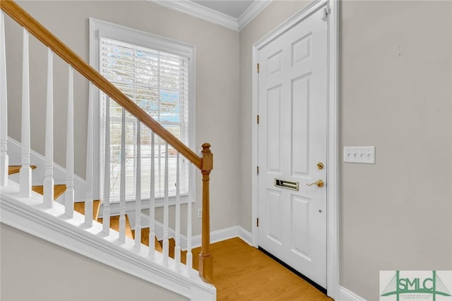 foyer entrance featuring crown molding and light wood-type flooring