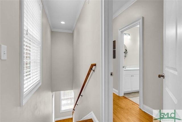 hall featuring ornamental molding and light hardwood / wood-style flooring