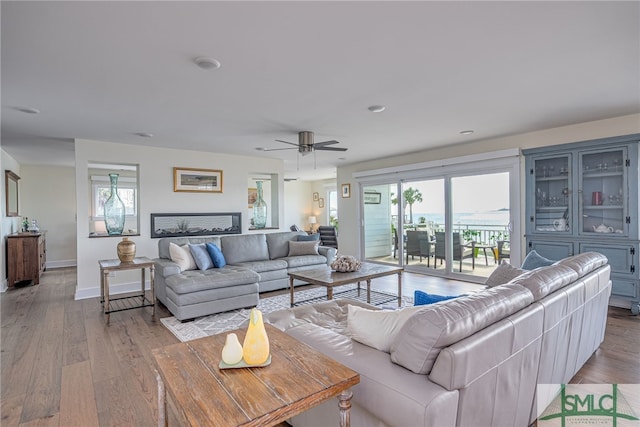 living room with ceiling fan and light hardwood / wood-style flooring