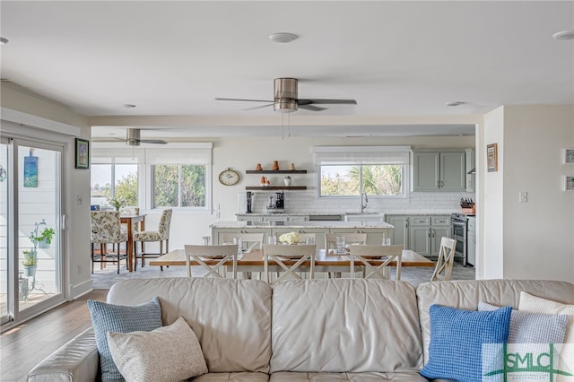 living room featuring ceiling fan, a healthy amount of sunlight, and light hardwood / wood-style floors