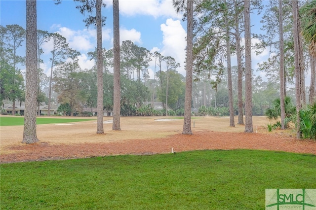 view of community featuring a yard