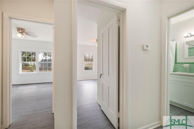 hallway with dark hardwood / wood-style flooring and sink