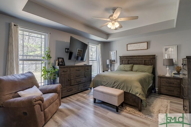 bedroom with multiple windows, light hardwood / wood-style flooring, and a raised ceiling