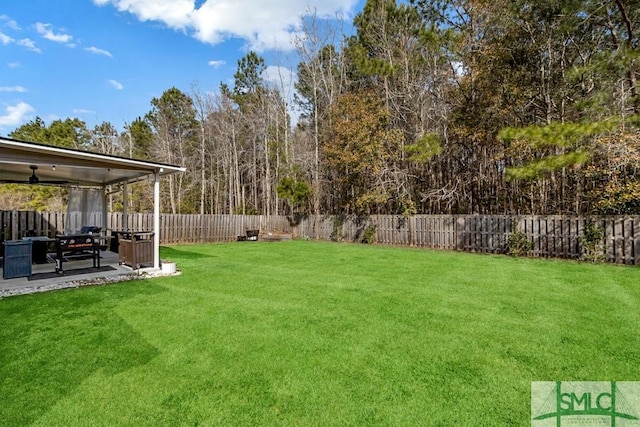 view of yard featuring a patio