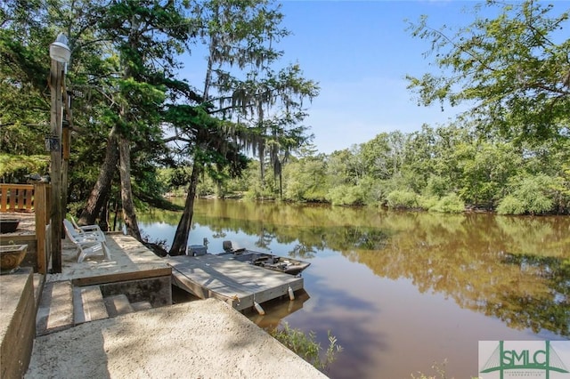 dock area with a water view