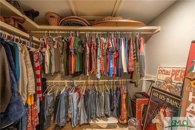 view of walk in closet